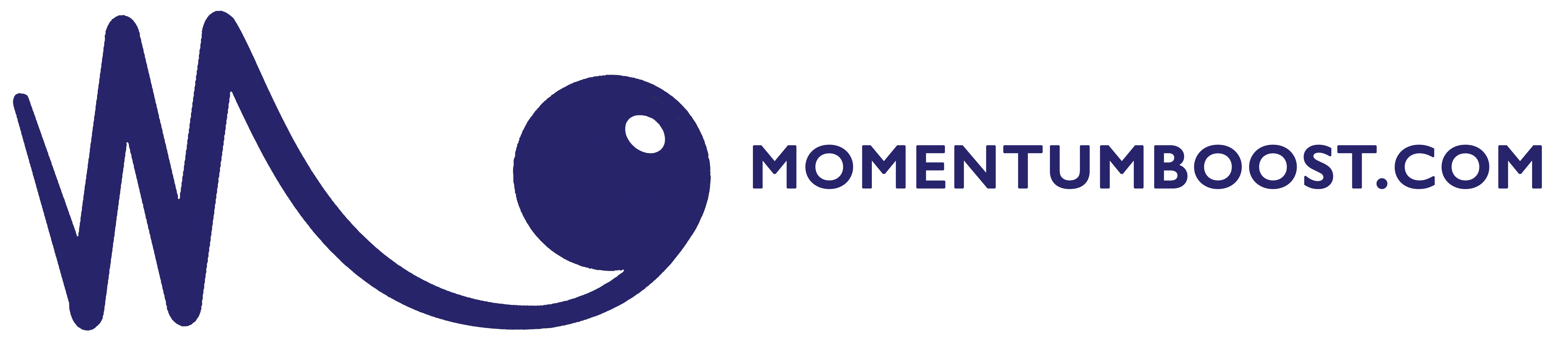 Momentum Marketing Consultants LLC